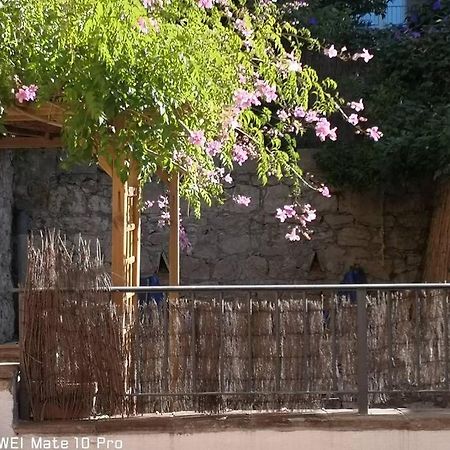 Appartement Avec Jardin Privatif Centre Ville Hyères Kültér fotó