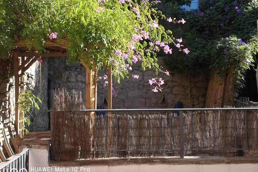 Appartement Avec Jardin Privatif Centre Ville Hyères Kültér fotó